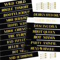 18 Piece Bachelorette Party Sashes Set - 1 White Bride Sash & 17 Black Bridesmaid Sashes with Gold Lettering, Pre - Wedding Bridal Shower Favors