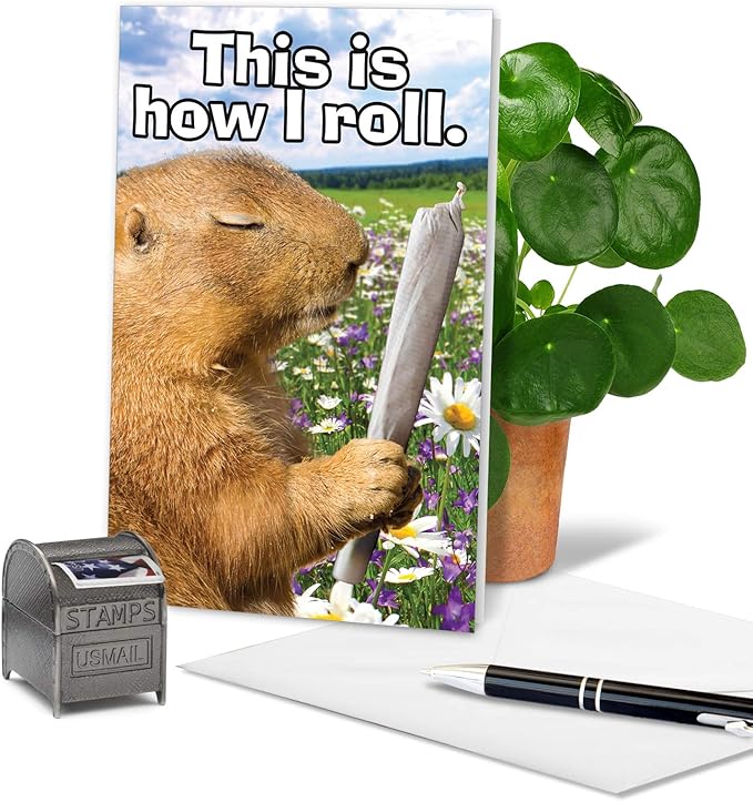 NobleWorks - 1 Happy Birthday Card with Funny Animals - Wildlife and Pet Humor, Fun Birthday Celebration Notecard - How I Roll C3956BDG