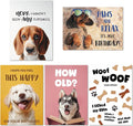 Gooji 5x7 Dogs Birthday Cards Bulk 10 Pack, Funny Humorous Cute Cards for Wife Husband Teenage Young Boy Girl Men Women Adult, Puppy Husky Bulldog Dachshund Golden Retriever