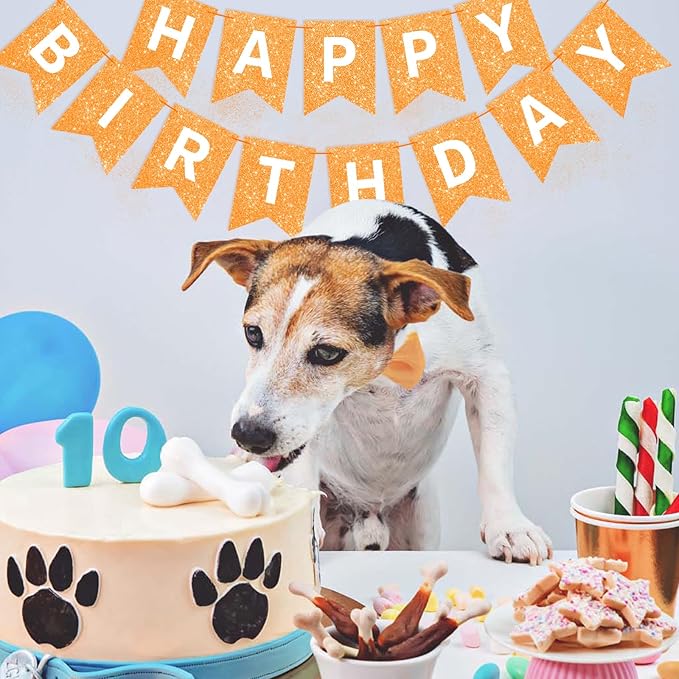 Orange Happy Birthday Banner Birthday Sign for Backdrop Happy Birthday Garland for Kids Girls Women Orange Birthday Tea Party Decorations Bunting Banner Birthday Party Supplies