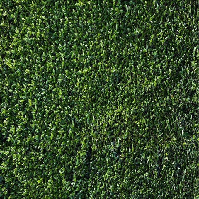 Nature Spring 3D Green Leaves Theme Photo Background Wedding Birthday Party Newborn Baby Shower Photography Backdrops Zoo Decor Shoot Props Bannner (6x6 FT)
