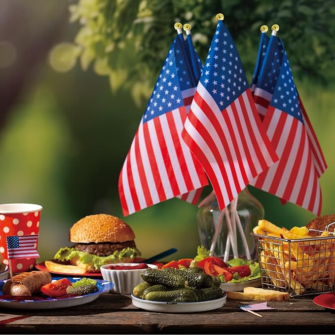 OHOME 4th of July Decorations - 12 Pack Small Mini American USA Flags on Stick Fourth of July Decorations - Red White Blue Fourth of July Accessories Patriotic Party Favors Supplies Outdoor Indoor