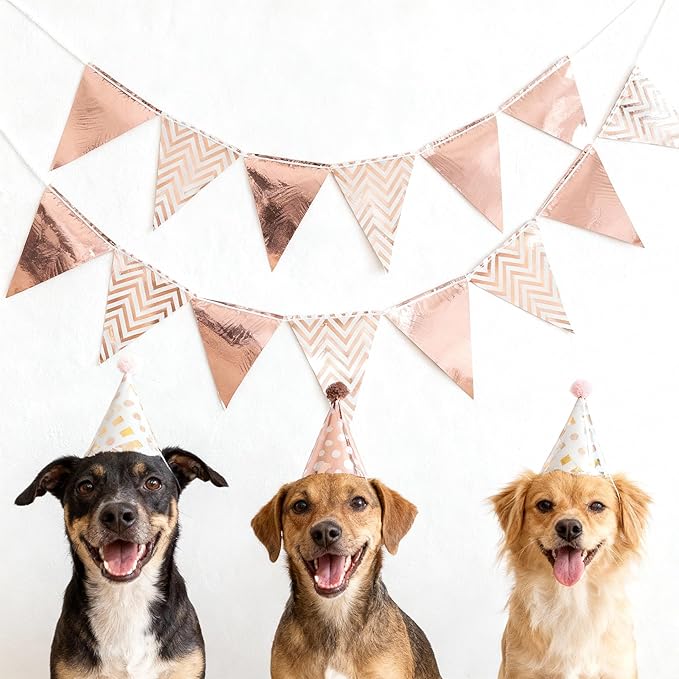Pennant Banner Flags 24 Pcs Big Metallic Mirrored, 26 Ft Rose Gold Wave Pattern Cardboard Triangle Banner, Party Birthday Wedding Nurse Graduation Holiday Wall Decorations, Festive Supplies
