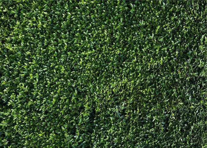 Nature Spring 3D Green Leaves Theme Photo Background Wedding Birthday Party Newborn Baby Shower Photography Backdrops Zoo Decor Shoot Props Bannner (7x5 FT)