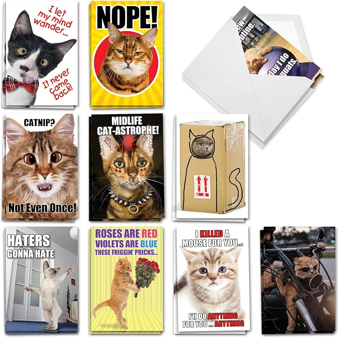 NobleWorks 20 Assorted Box Set Funny Birthday Greeting Cards w/5 x 7 Inch Envelopes (10 Designs, 2 Each) Bday PetiGreet Cats AC4886BDG-B2x10