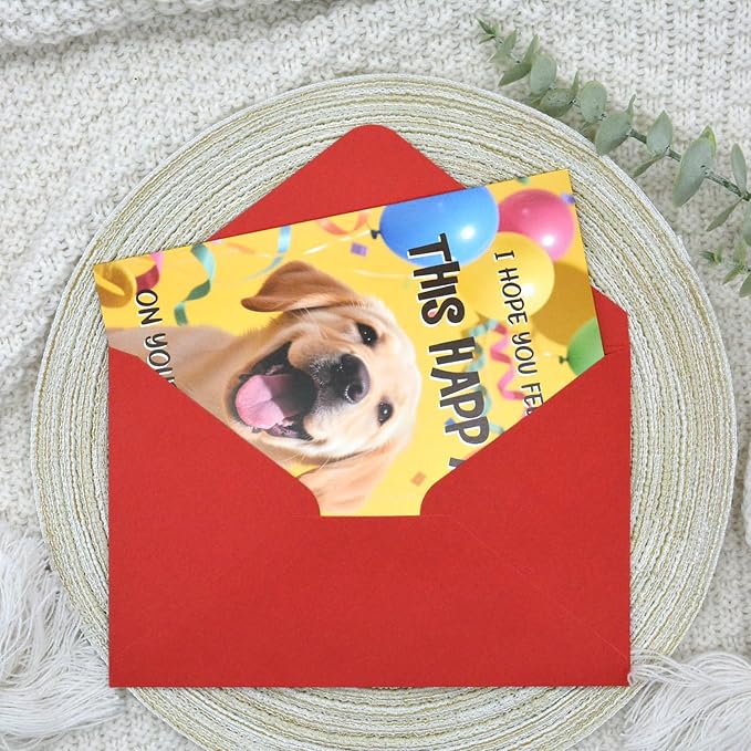 5.3x8 Funny Happy Dog Birthday Card Humorous Cute Pet Animal Humor Bday Notecard with Envelope for Wife Husband Teenage Young Boy Girl Men Women Adult