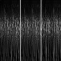 3.3 x 6.6 ft Foil Fringe Backdrop Curtains, Tinsel Streamers Party Decorations, Fringe Backdrop for Birthday, Baby Shower, Gender Reveal, Graduation (3, Black)