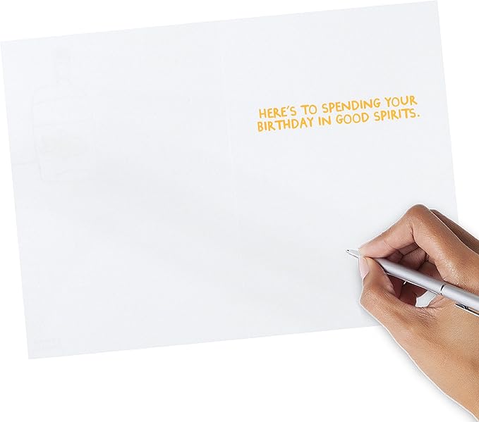 Hallmark Shoebox Funny Birthday Card (Vodka Goldfish)
