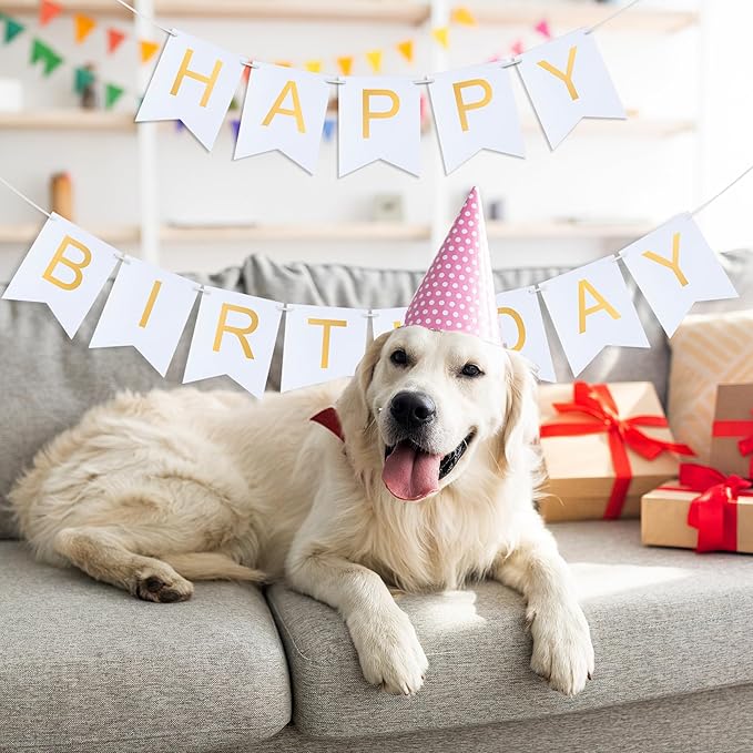 White Happy Birthday Banner - Hanging Backdrop Sign with Gold Letters, Happy Birthday Sign Bunting Decorations for Women men Kids Baby Shower Party Supplies (13pcs)