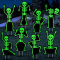 Jetec 8 Pcs Halloween Outdoor Decorations Glow in The Dark Skeleton with Stakes Luminous Halloween Graveyard Decoration Funny Skeleton Yard Signs for Outdoor Lawn Yard Garden