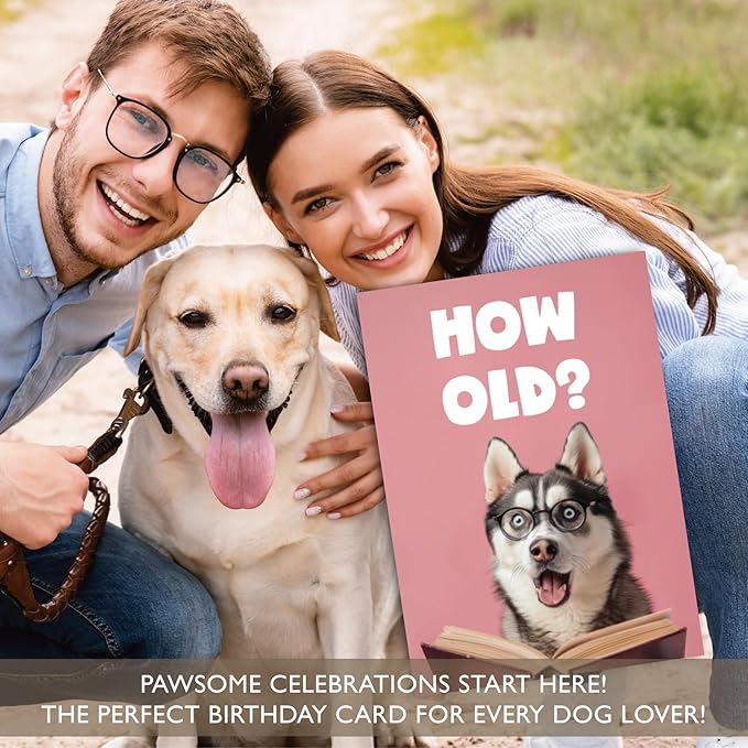 Gooji 5x7 Dogs Birthday Cards Bulk 10 Pack, Funny Humorous Cute Cards for Wife Husband Teenage Young Boy Girl Men Women Adult, Puppy Husky Bulldog Dachshund Golden Retriever