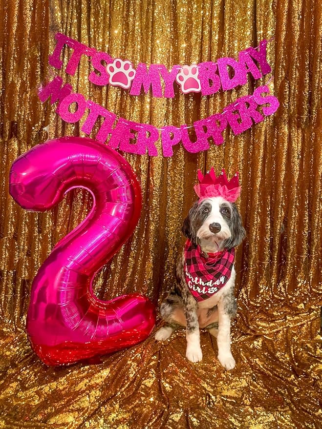 2 Numbers Balloon 40 Inch Rose Purple Two Balloon Number Birthday Decor, 2nd 12 21st Party Celebration Decorations Graduations Wedding Baby Shower