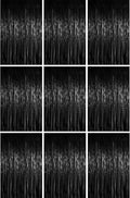 3.3 x 6.6 ft Foil Fringe Backdrop Curtains, Tinsel Streamers Party Decorations, Fringe Backdrop for Birthday, Baby Shower, Gender Reveal, Graduation (9, Black)