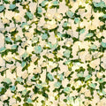BLEUM CADE 12Pcs 98.4Ft Flower Garland Artificial Rose Vines with 98.4Ft String Lights, Cute Fake Hanging Flower Vines Floral Garland Decorations for Wedding Party Wall Room Decor Aesthetic