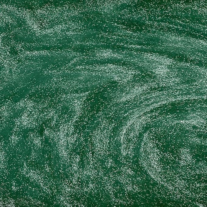 Brew Glitter Edible Glitter for Drinks, Cocktails, Beer, Garnish & Beverages (Dark Green, 4 Grams)