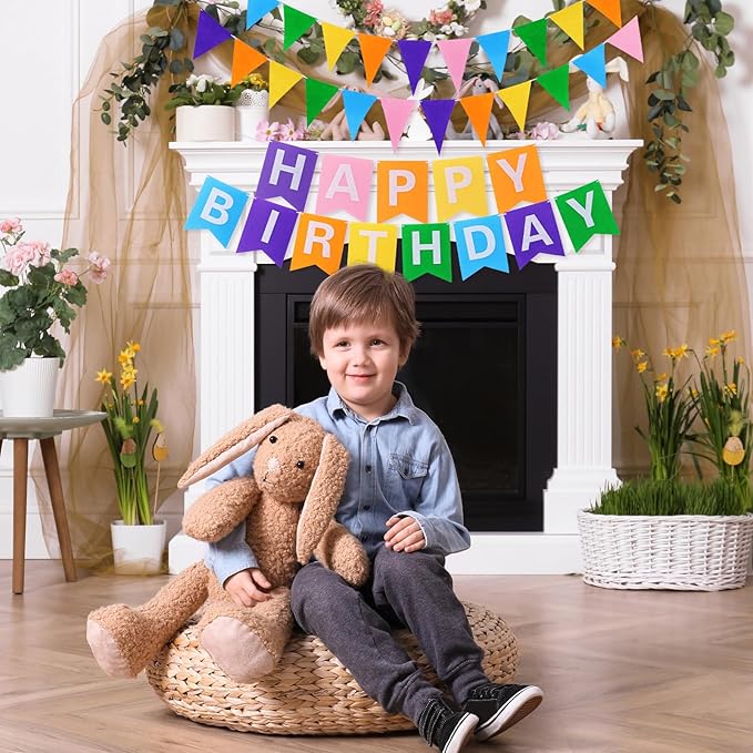 Irenare 4 Pieces Happy Birthday Banner Colorful Birthday Party Decor Rainbow Felt Garland Banner Party Decorations Supplies (Macaron Color)
