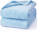 Hansleep Fleece Light Blue Queen Blanket, Super Soft Flannel Fuzzy Plush Cozy Blanket for All Seasons, Light Blue, Queen 90x90 Inches