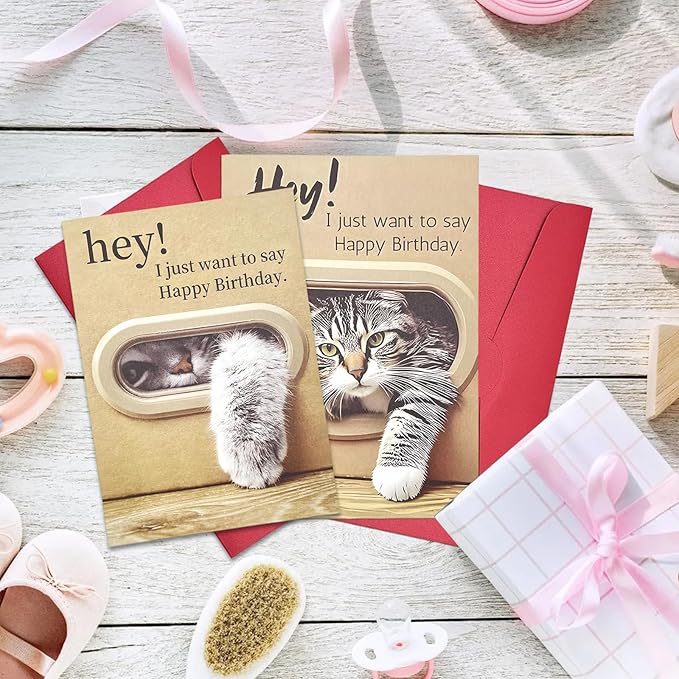 Birthday Cards Pack of 2,Birthday Cards Bulk for Women Men Kids Assorted Birthday Greeting Cards for Kids Assortment,2 Card with Envelopes (Cartoon cat)