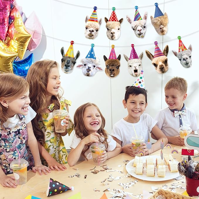 Hooqict Llama Birthday Banner Garland Funny Happy Birthday Decorations Party Banner for Kids Adults Animal Birthday Party Decorations Supplies