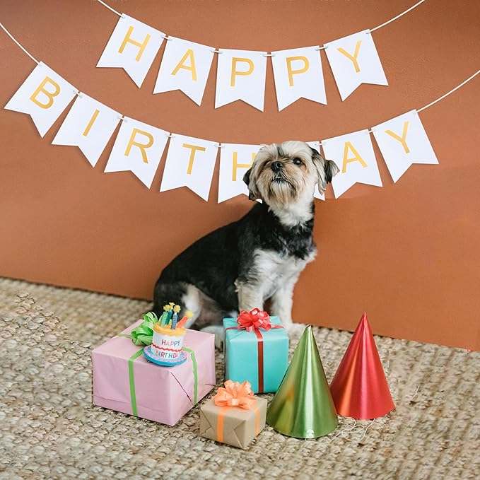 White Happy Birthday Banner - Hanging Backdrop Sign with Gold Letters, Happy Birthday Sign Bunting Decorations for Women men Kids Baby Shower Party Supplies (13pcs)