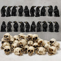 KatchOn Miniature Crows and Skulls – Pack of 40 | Halloween Decor Indoor, Outdoor | Halloween Decorations & Party Supplies | Skull Heads, Realistic Birds Decoration for Spooky Decor