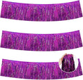 BEISHIDA 3 Packs Metallic Foil Fringe Garland Laser Purple Wall Hanging Tinsel Fringe Banners for Car Floats Bridal Shower Wedding Birthday Easter Graduation Holiday Party Decoration(30 Feet)