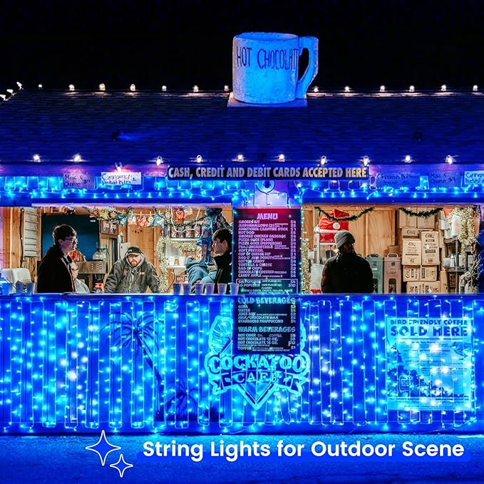 2 Pack String Lights Battery Operated with Timer, 66FT 200 LED Waterproof Battery Twinkle Lights, 8 Modes Fairy Light for Indoor & Outdoor Party Bedroom Porch Tree Christmas Decorations (Blue)