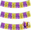BEISHIDA 3 Packs Metallic Foil Fringe Garland Purple Gold Wall Hanging Tinsel Fringe Banners for Car Floats Bridal Shower Wedding Birthday Graduation Holiday Party Decoration(30 Feet)