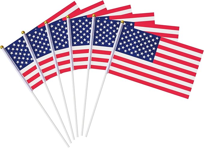 OHOME 4th of July Decorations - 12 Pack Small Mini American USA Flags on Stick Fourth of July Decorations - Red White Blue Fourth of July Accessories Patriotic Party Favors Supplies Outdoor Indoor