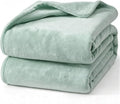 Hansleep Fleece Celadon Throw XL Blanket, Super Soft Flannel Fuzzy Plush Cozy Blanket for All Seasons, Celadon, Throw XL 50x70 Inches