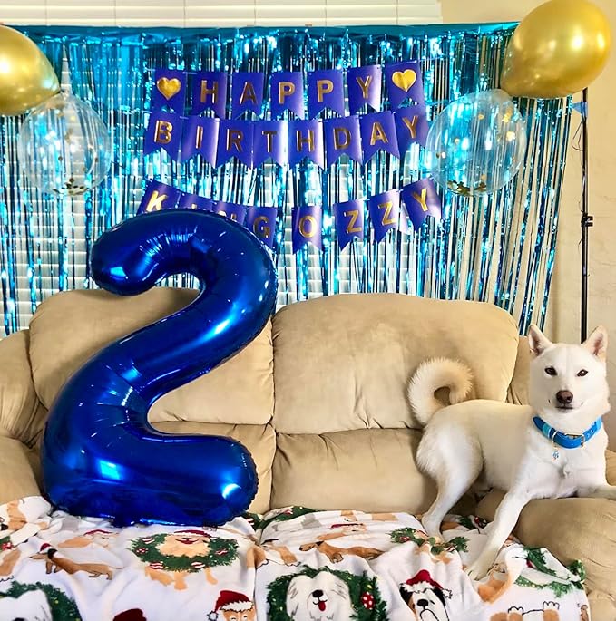 Light Blue Backdrops Curtains Party Decorations, Tinsel Streamers Birthday Decoration for Women Men, Photo Booth Props for Wedding, 2Pack 3.28X6.56Ft