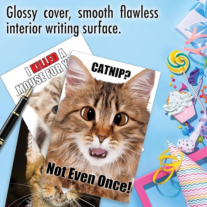 NobleWorks 20 Assorted Box Set Funny Birthday Greeting Cards w/5 x 7 Inch Envelopes (10 Designs, 2 Each) Bday PetiGreet Cats AC4886BDG-B2x10