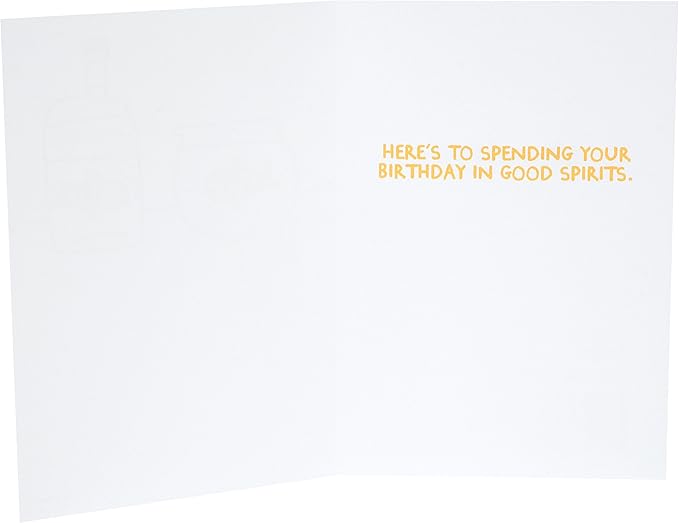 Hallmark Shoebox Funny Birthday Card (Vodka Goldfish)