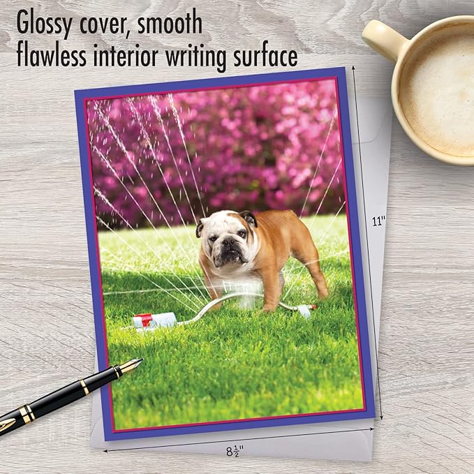 NobleWorks Extra Large Hilarious Birthday Paper Card From Us 8.5 x 11 Inch with Envelope (1 Pack) Big, Jumbo Bday Dog In Sprinkler J3209BDG-US