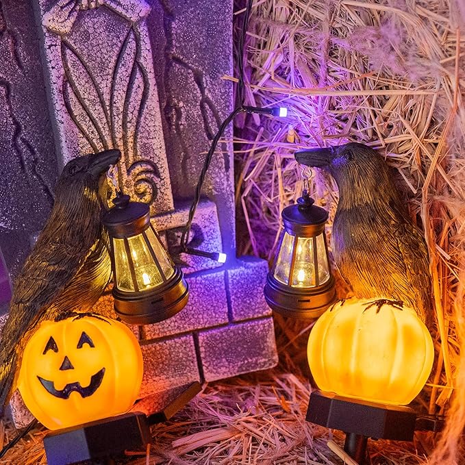 Dazzle Bright 2 Pack Halloween Crow Pathway Lights Outdoor, Solar Powered Resin Crow with Pumpkin Walkway Lights, Stake Light for Halloween Pathway Garden Lawn Yard Gifts Decoration