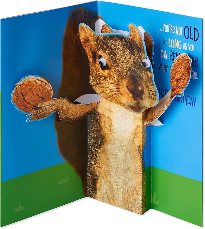 American Greetings Funny Birthday Card (Squirrel)