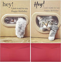 Birthday Cards Pack of 2,Birthday Cards Bulk for Women Men Kids Assorted Birthday Greeting Cards for Kids Assortment,2 Card with Envelopes (Cartoon cat)