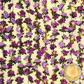 BLEUM CADE 5Pcs 41Ft Flower Garland Artificial Rose Vines with 32.8Ft String Lights, Cute Fake Hanging Flower Vines Floral Garland Decorations for Wedding Party Wall Room Decor Aesthetic