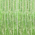 2Pack Light Green Foil Curtain Backdrop Green Metallic Tinsel Foil Fringe Curtains Photo Booth Props for Birthday Wedding Engagement Baby Shower Bachelorette Xmas Holiday Celebration Party Decors