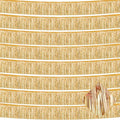 10 Pack 10 Feet Foil Fringe Garland Metallic Tinsel Streamers Banner Wall Hanging Curtain Backdrop for Parade Floats, Wedding, Disco, Birthday, Halloween, Christmas Party Decorations(Champagne Gold)