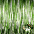 4 Pack 3.2Ft x 9.8Ft Light Green Foil Fringe Curtain Backdrop, Metallic Tinsel Foil Fringe Streamers Curtains for Party, Photo Booth Props, Birthday, Wedding, St Patrick Day Party Decoration