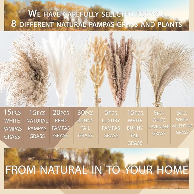 130PCS Natural Dried Pampas Grass Boho Home Decor Bouquet Phragmites Dried Flowers Bouquet for Wedding Floral Arrangements Living Room Decorations (130PCS)